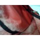 Культовий рюкзак PADDED PAK'R від американців Eastpak