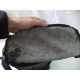 Культовий рюкзак PADDED PAK'R від легендарних Eastpak USA